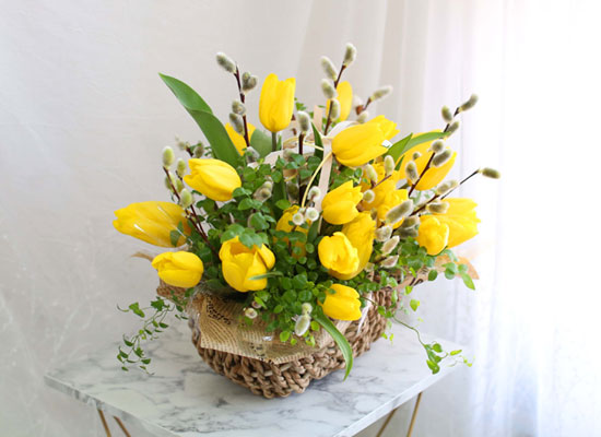 [서울 수도권배송]Spring & sweet Tulips