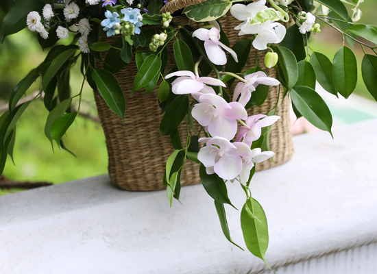 A Lovely Day, For You