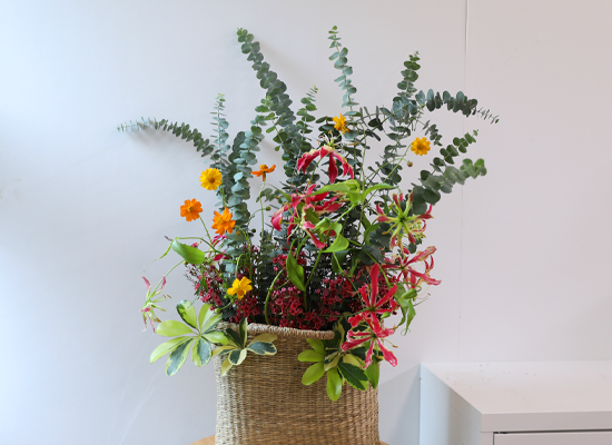 Thinking of You, Today