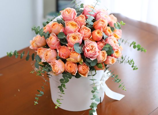 ���۸��� ��ġ�� ����