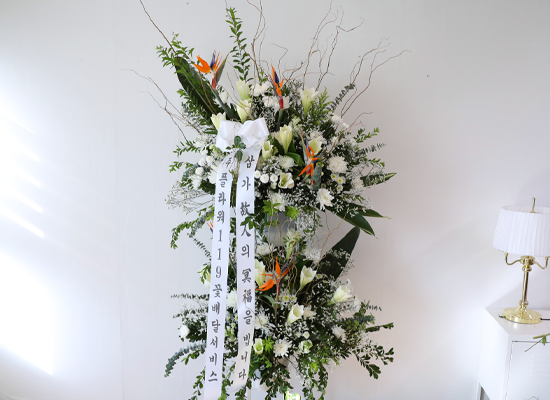 White Light Woven with Sincerity