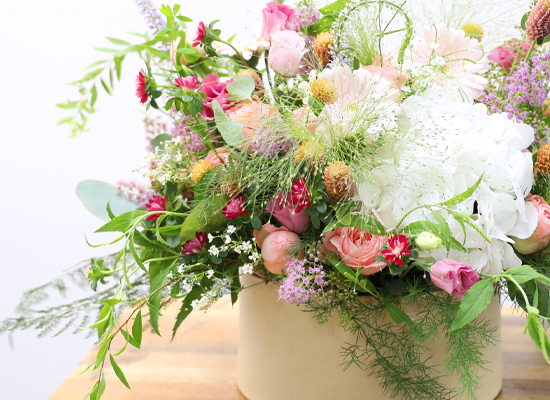 ȯ�� ������ ���