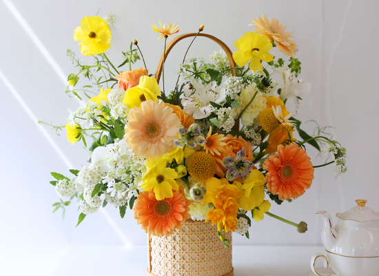 ���� �޻� ���ķ� - ���� �ɹٱ���