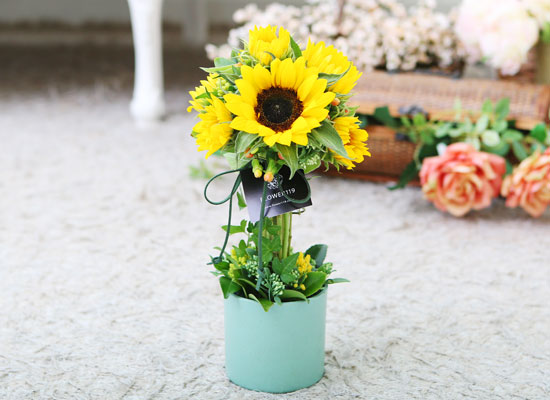 sunflower - sunflower topiary (*Ϻ ȭ⺯)