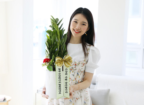 [서울,전국배송,지방화기변경] 존경하는 마음 담아 -  복덩이 금전수 꽃집 꽃배달