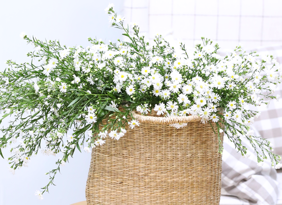 ���� ����� ����