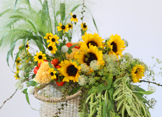 �޻��� ������ �Ϸ�