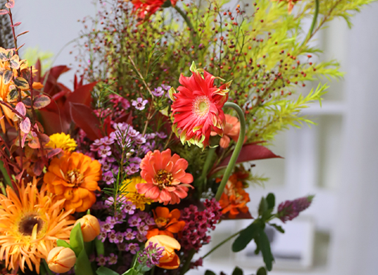 �ٶ��� ���� �޻�