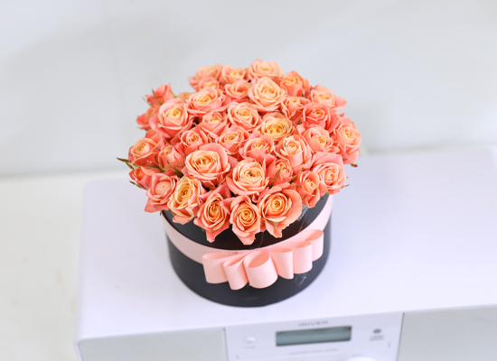 ��ũ�� ���� �� ��Ǭ