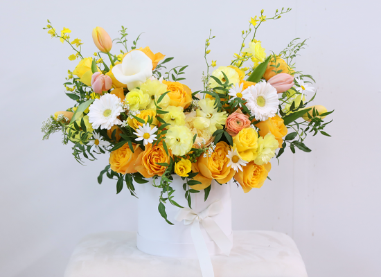 A shape of heart - ����� ���� ��