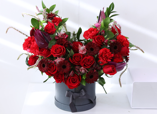 A shape of heart - Crimson Heart