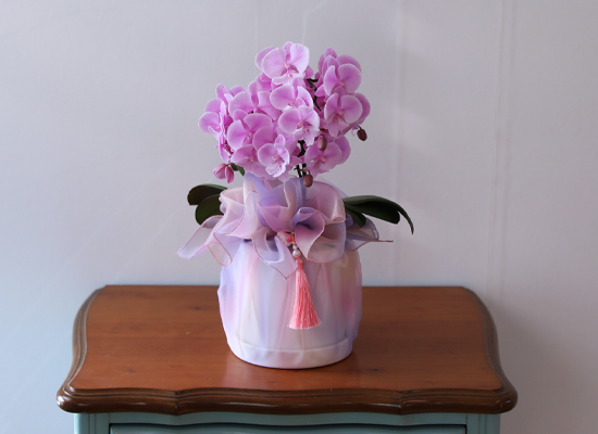 ���� ���Ƶ�� ���� - ������ ��