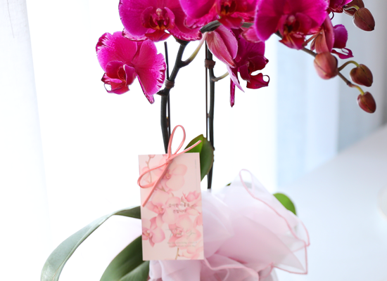 ���� ���� ������ ���ֺ� - ������ ��