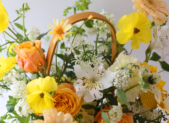 ���� �޻� ���ķ� - ���� �ɹٱ���