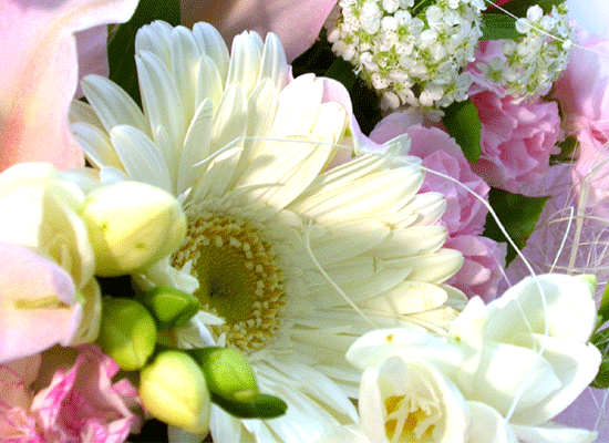 [전국배송]프로포즈 - milky way(은하수) 꽃집 꽃배달