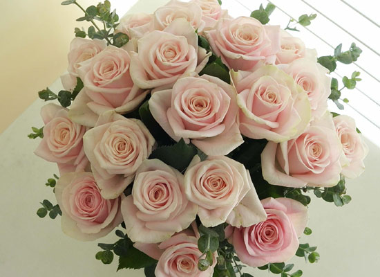 [] Made in 20 flowers - Pink rose(ȭ   ֽϴ)
