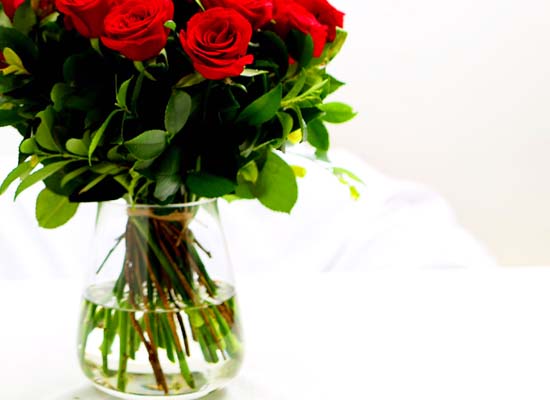 The Rose - [High quality] Only RedRose vase(20)