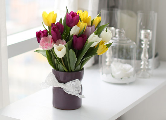 Spring&Sweet  - coloful tulip