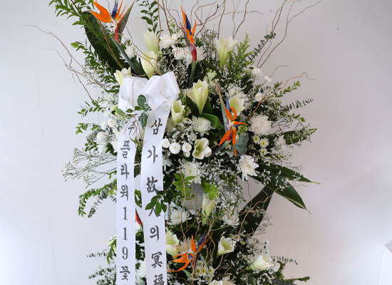 White Light Woven with Sincerity