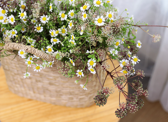 �ٶ��� �ӹ� ����