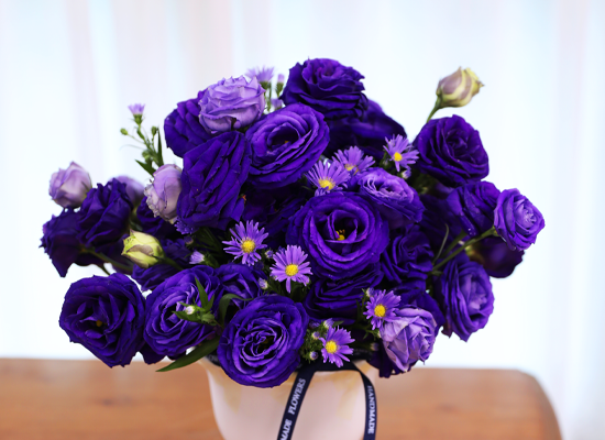 ������ ���