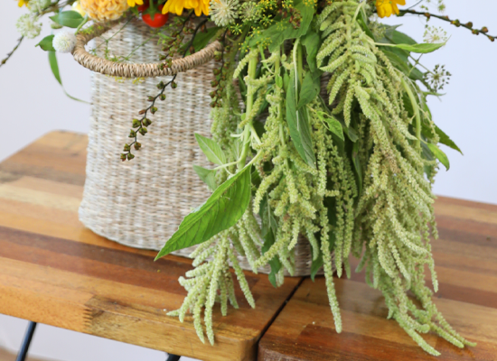 �޻��� ������ �Ϸ�