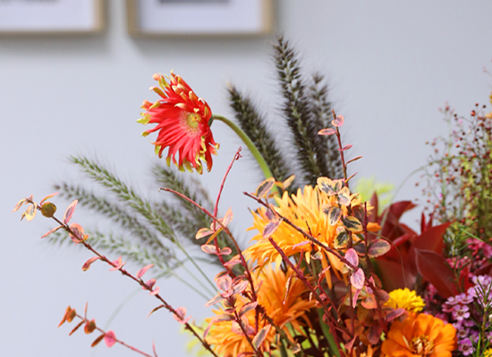 �ٶ��� ���� �޻�