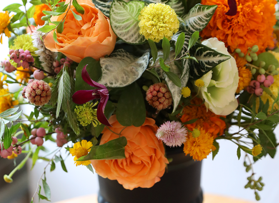 �������� ������ ����