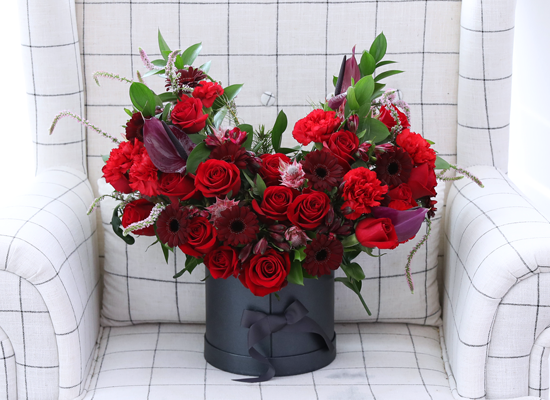 A shape of heart - Crimson Heart