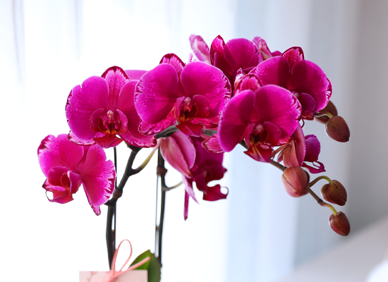 ���� ���� ������ ���ֺ� - ������ ��