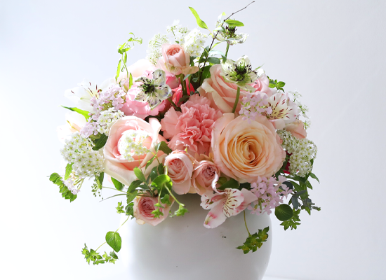 ������ ��ũ ���׾Ƹ� - ���� ī���̼�