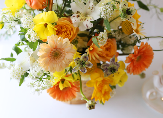 ���� �޻� ���ķ� - ���� �ɹٱ���