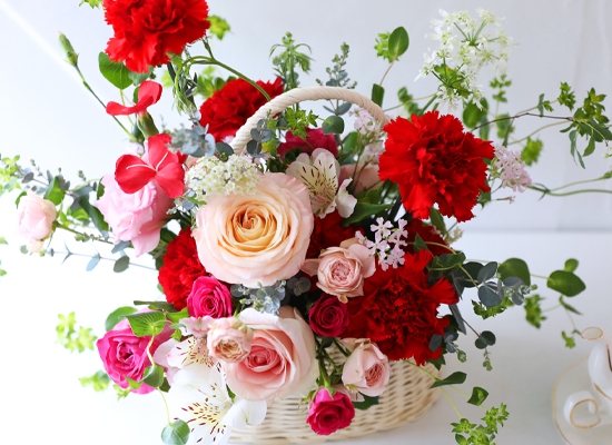 ����� ������ ���� - ���� ī���̼�