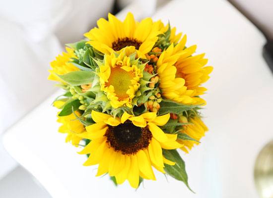 sunflower - sunflower topiary (*Ϻ ȭ⺯)