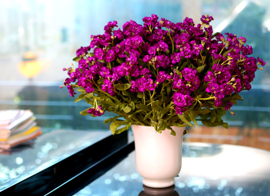 Flowers in harmony with container - Stock(ȭ ǰ   )