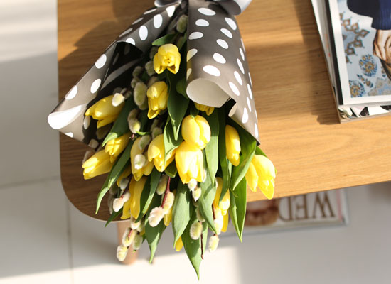 Fresh spring flower Yellow tulips