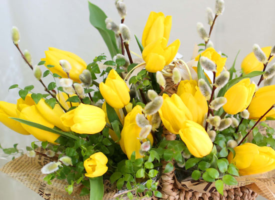 [서울 수도권배송]Spring & sweet Tulips