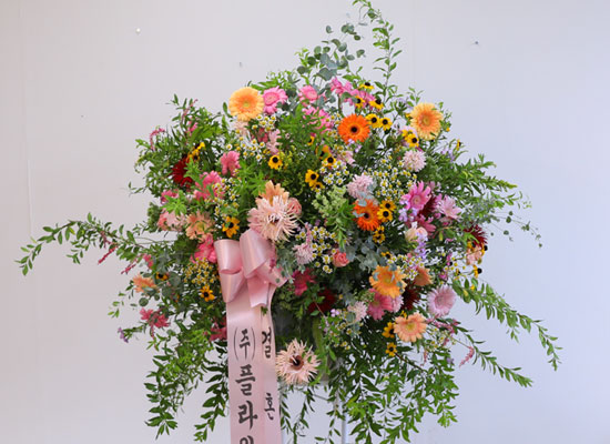 ޻찡 ö