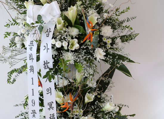 White Light Woven with Sincerity