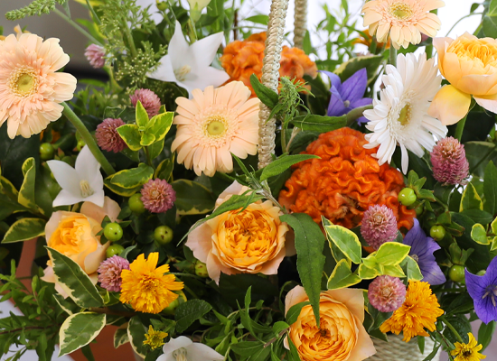 A Heart Like Sweet Sunshine