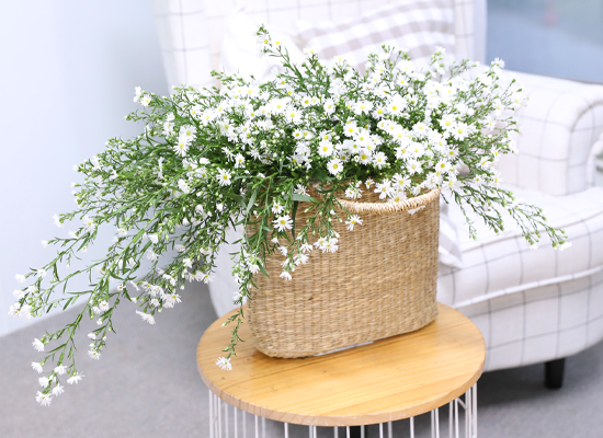 ���� ����� ����