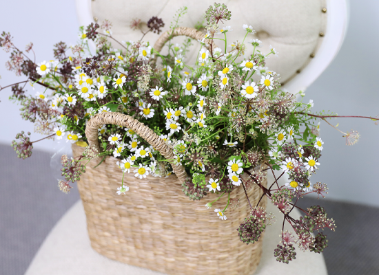 �ٶ��� �ӹ� ����