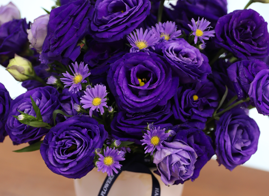 ������ ���