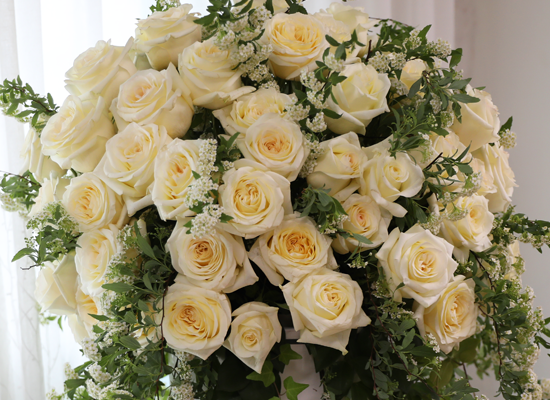 �ູ�� ���� ȭ��Ʈ ����