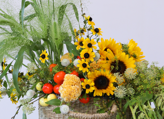 �޻��� ������ �Ϸ�