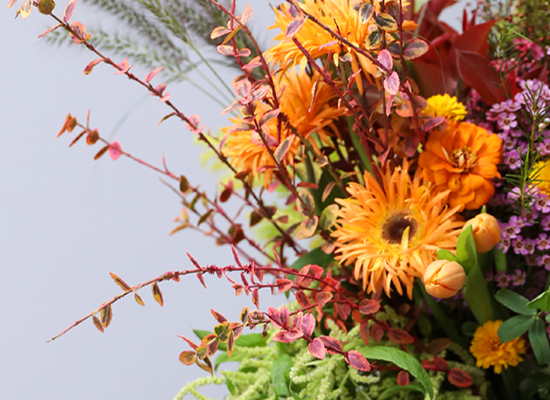 �ٶ��� ���� �޻�