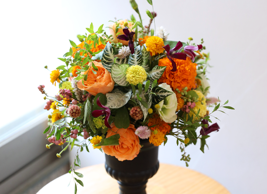 �������� ������ ����