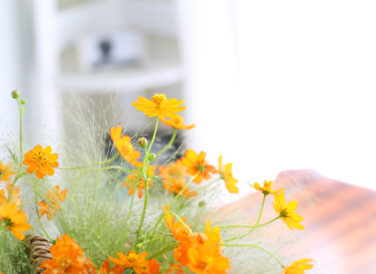 �������� ��� ����