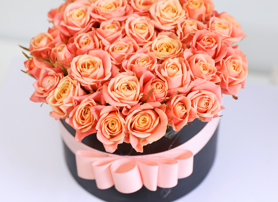 ��ũ�� ���� �� ��Ǭ