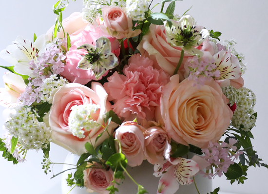 ������ ��ũ ���׾Ƹ� - ���� ī���̼�